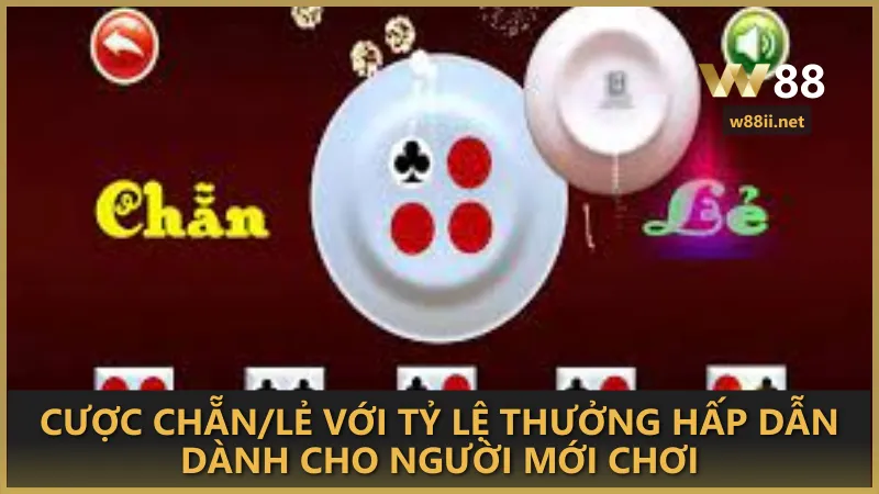 Cược chẵn/lẻ với tỷ lệ thưởng hấp dẫn dành cho người mới chơi