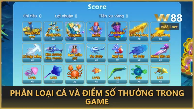 Phân loại cá và điểm số thưởng trong game